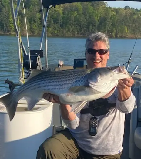 Anglers holding striped bass caught on Lake Allatoona