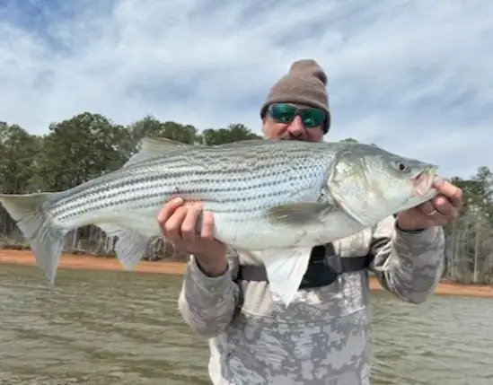 The Bite: Lake Allatoona fishing report - March 23, 2024