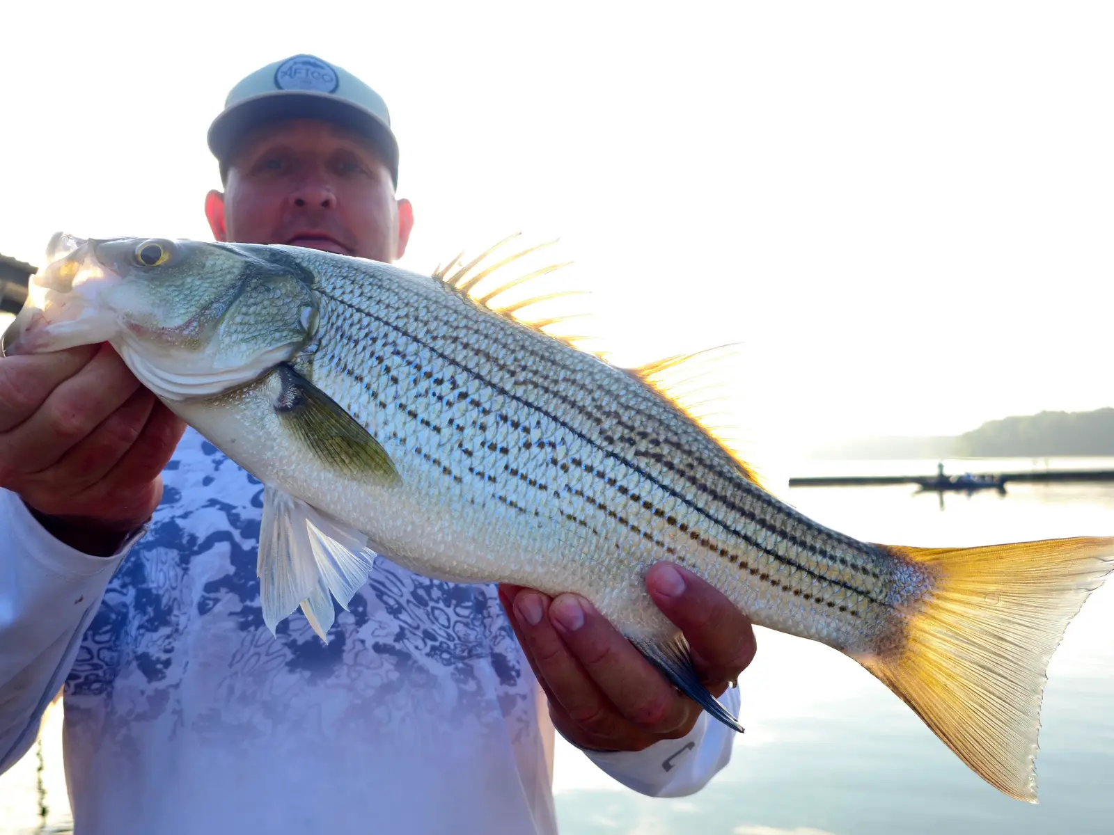 They chewing. Let's go fishing!!